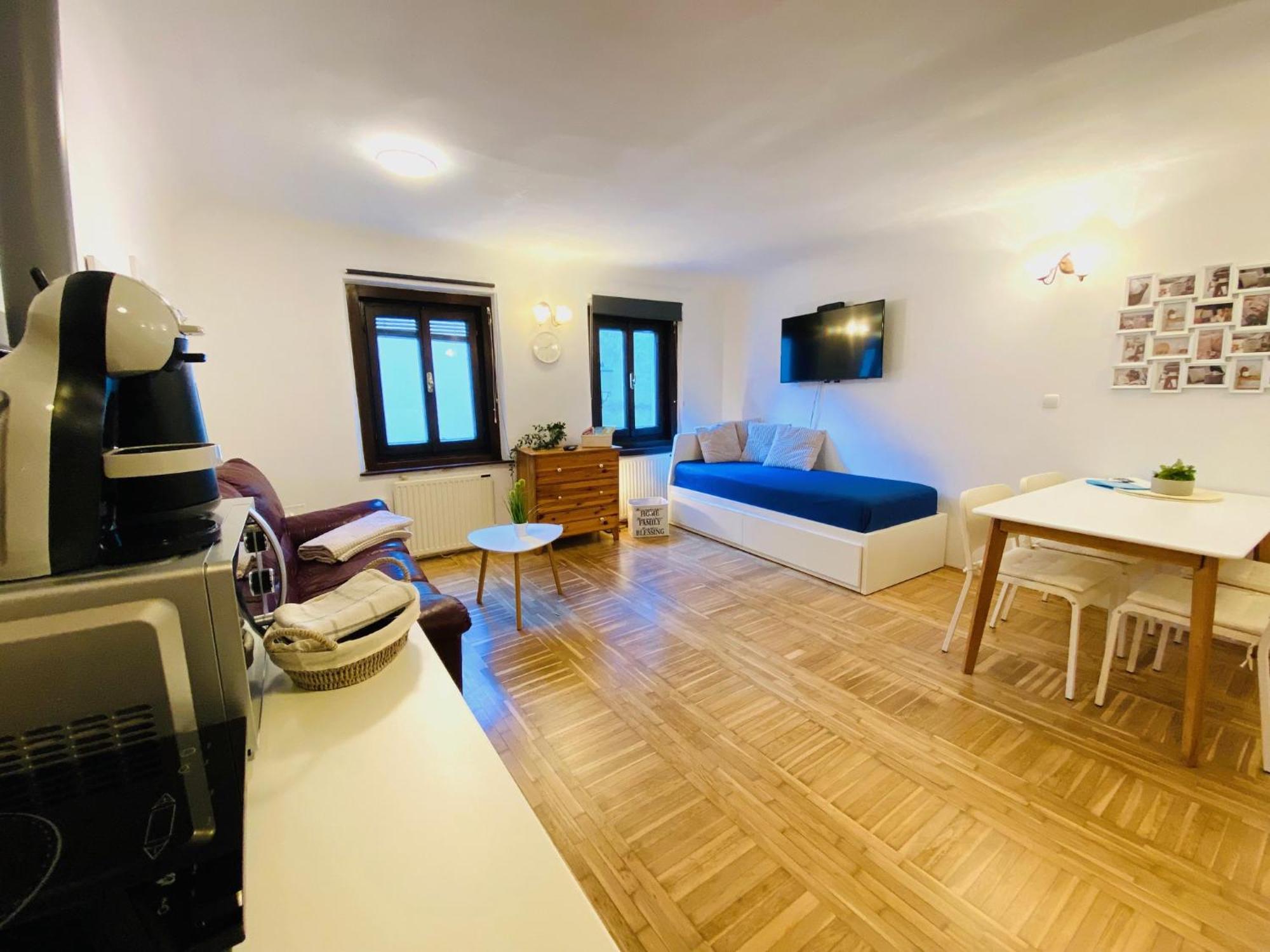 Under The Castle Apartments Ljubljana Extérieur photo
